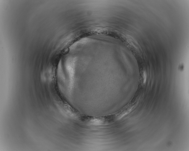 X0000090490236200707272347