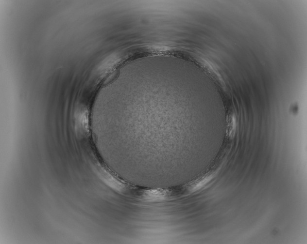 X0000090490238200707272347