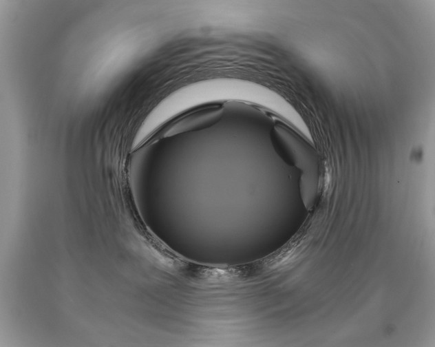 X0000090490239200707272347