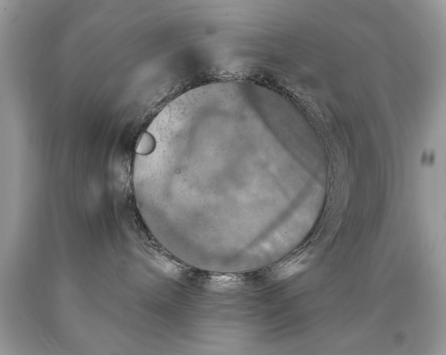 X0000090490240200707272347