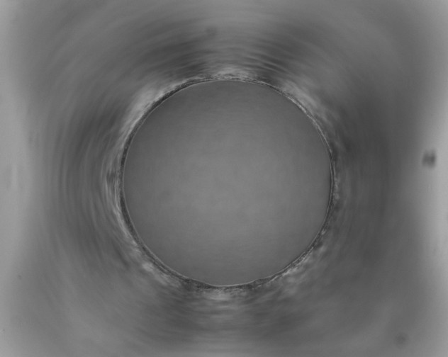 X0000090490241200707272346