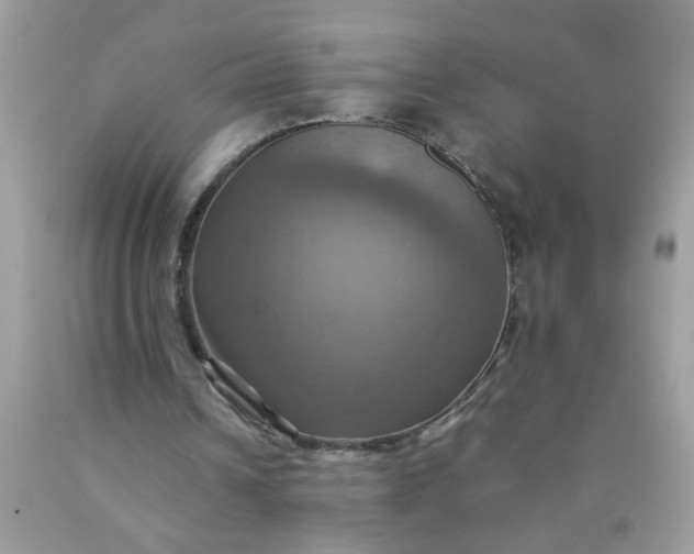 X0000090490242200707272346