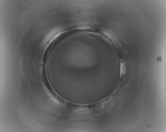 X0000090490243200707272346
