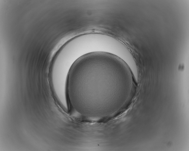 X0000090490244200707272346