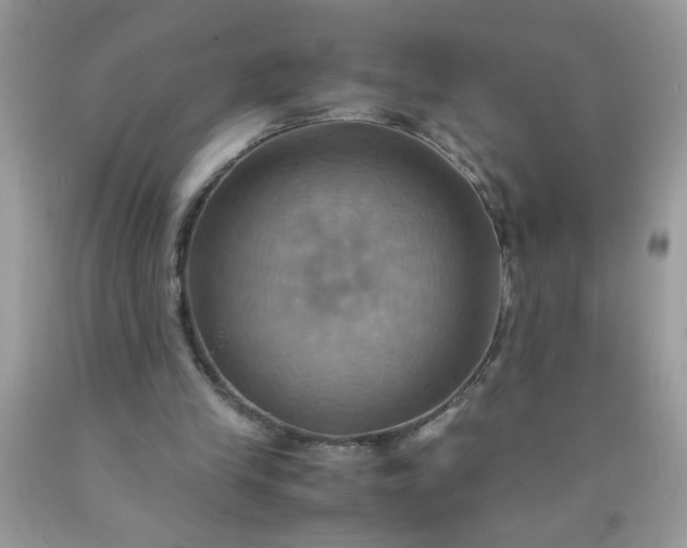X0000090490245200707272346