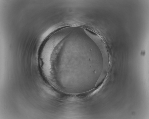 X0000090490246200707272346