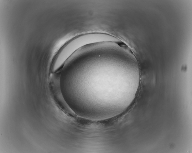 X0000090490248200707272346