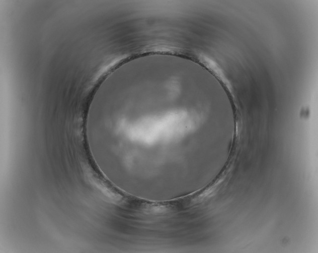X0000090490249200707272346