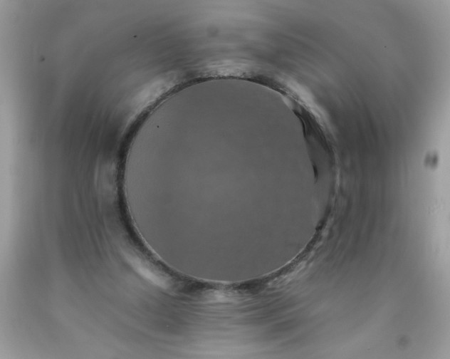 X0000090490250200707272346