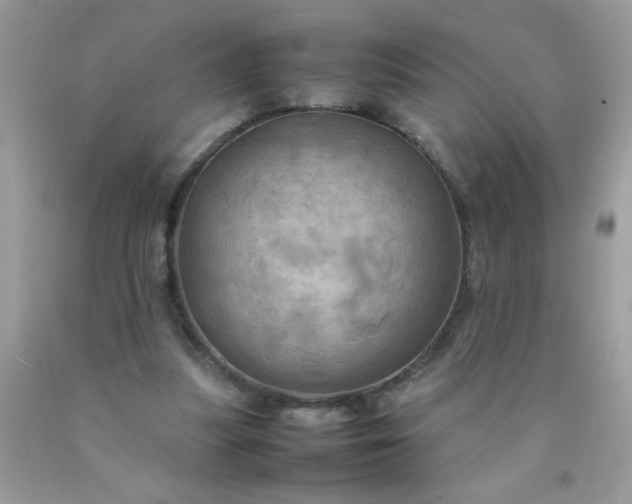 X0000090490251200707272346