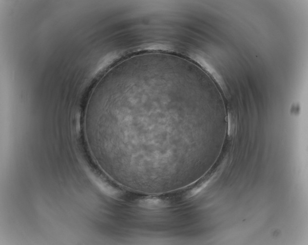 X0000090490253200707272346