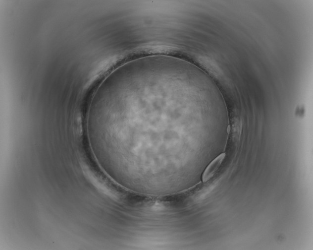 X0000090490254200707272346