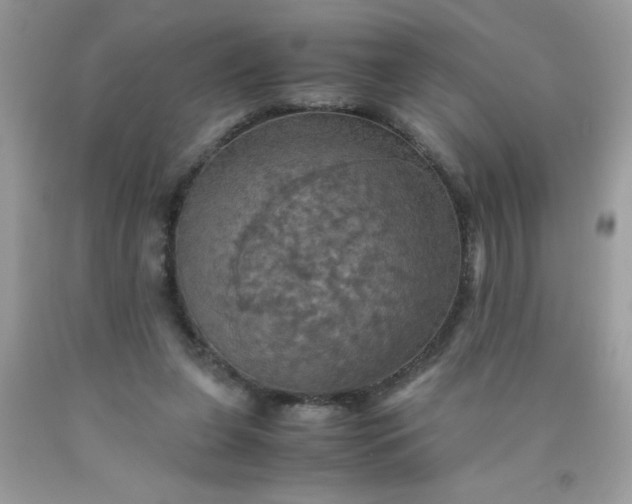 X0000090490255200707272346