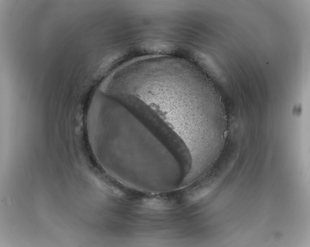 X0000090490259200707272346