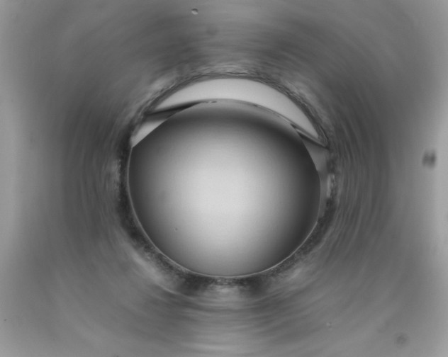 X0000090490260200707272346