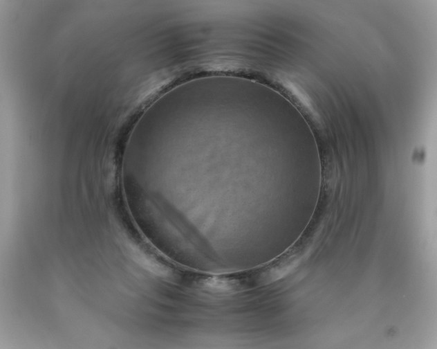 X0000090490261200707272346