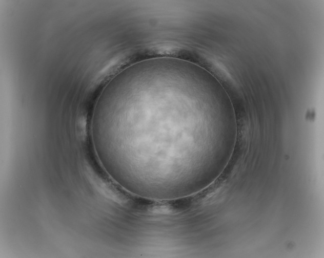 X0000090490262200707272346