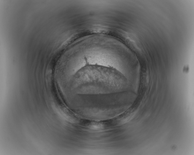 X0000090490263200707272346