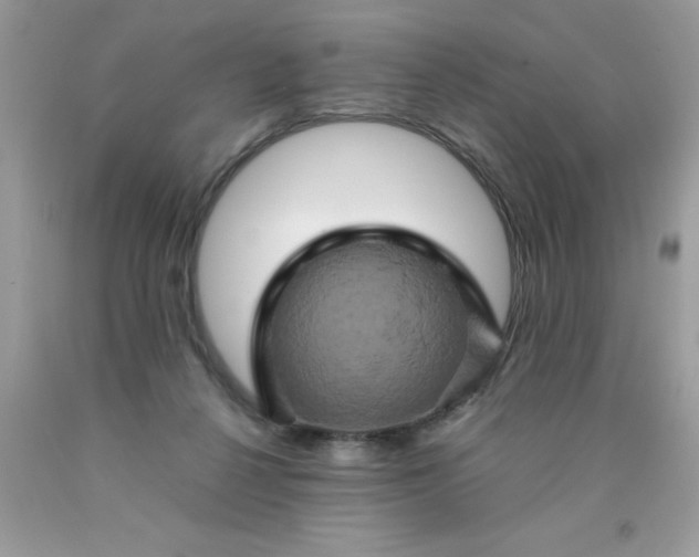 X0000090490264200707272346
