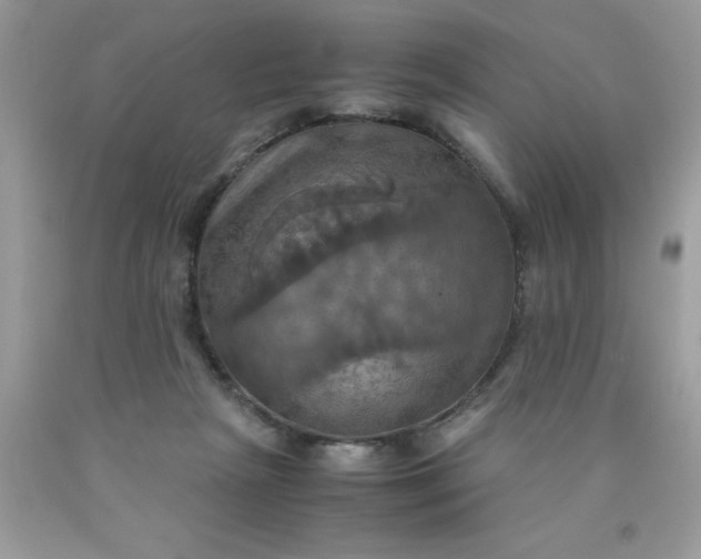 X0000090490265200707272346