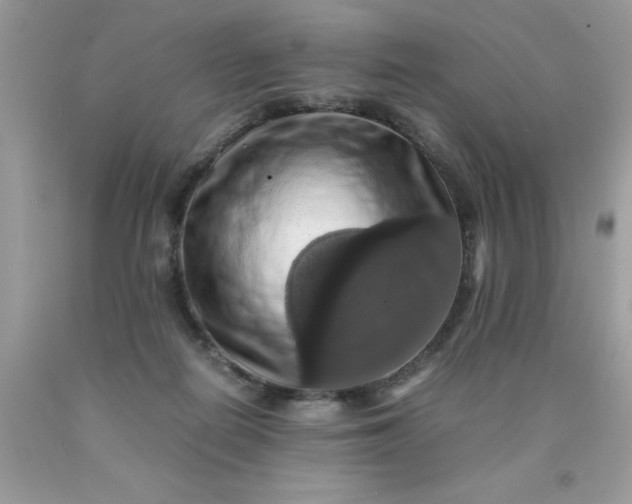 X0000090490266200707272346