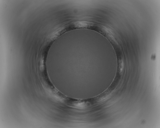 X0000090490267200707272347