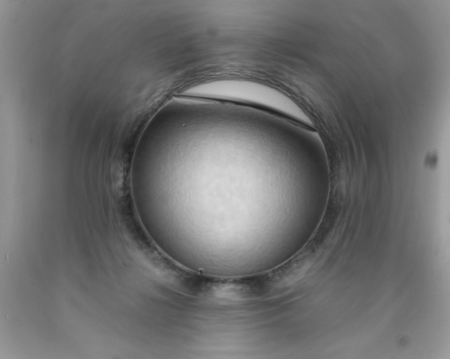 X0000090490268200707272347