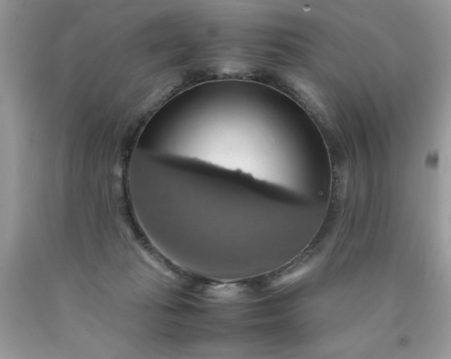 X0000090490269200707272347