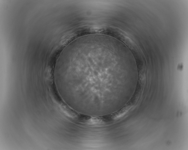 X0000090490270200707272347