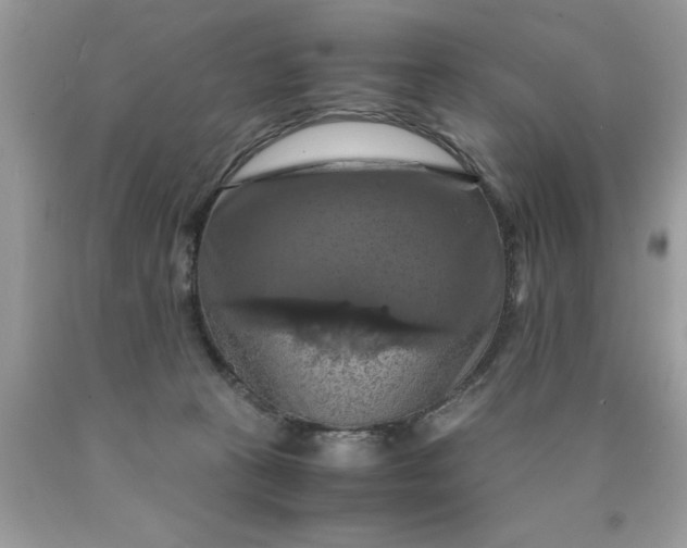 X0000090490273200707272347