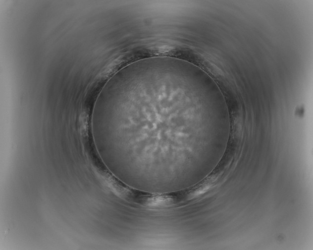X0000090490274200707272347