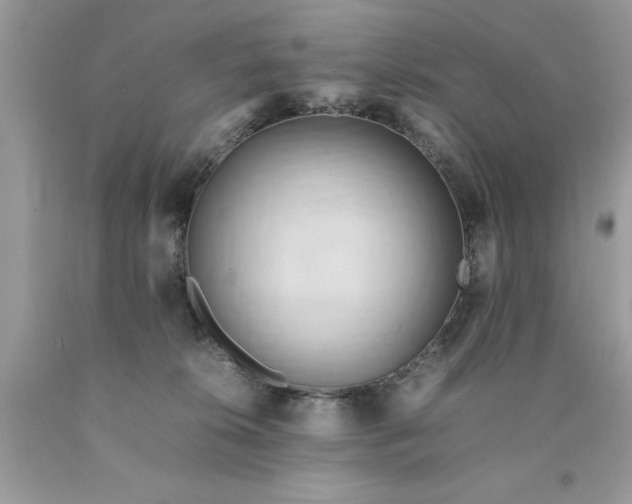 X0000090490276200707272347