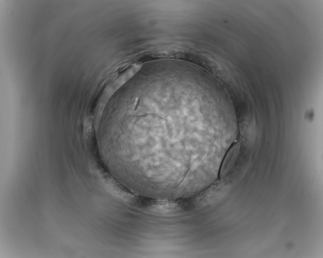 X0000090490278200707272347