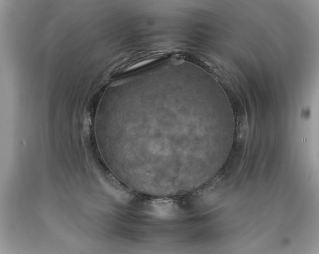 X0000090490279200707272347