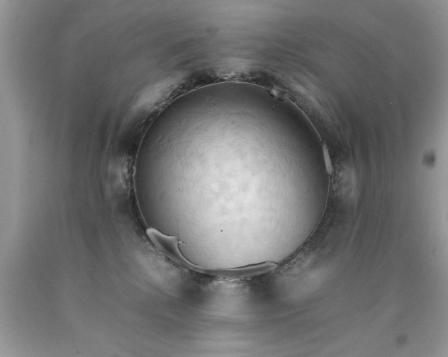 X0000090490280200707272347