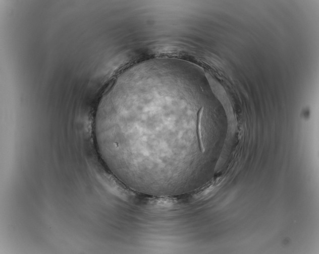 X0000090490282200707272347