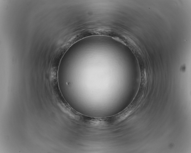 X0000090490284200707272347