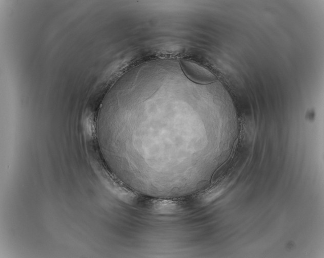X0000090490287200707272347