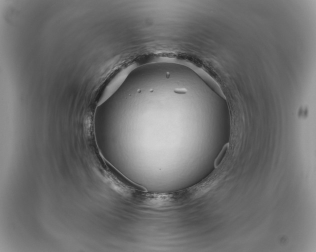 X0000090490288200707272347