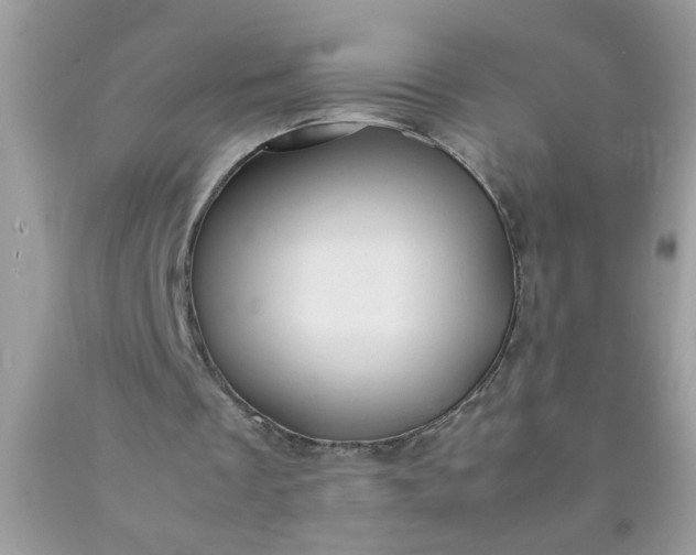 X0000090490289200707272346