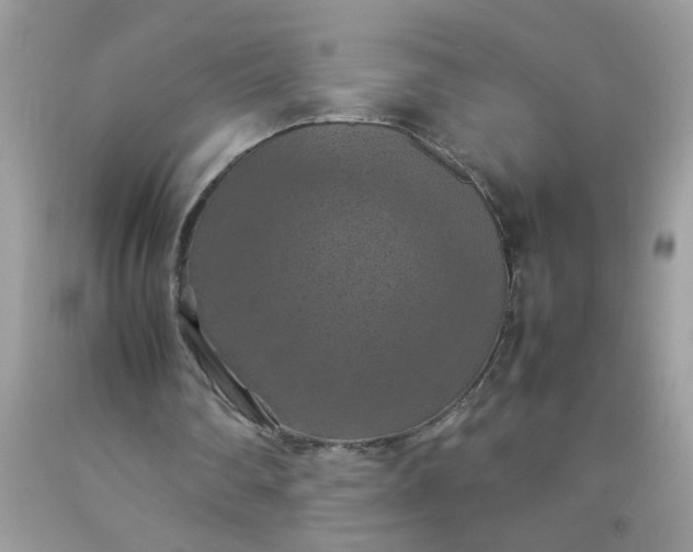 X0000090490290200707272346