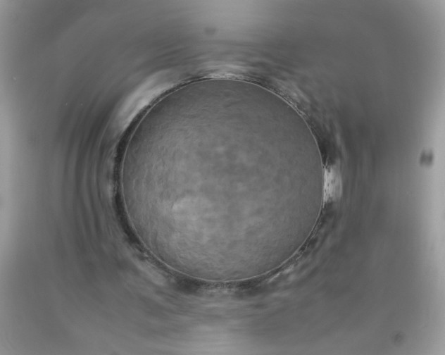 X0000090490291200707272346