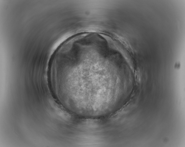 X0000090490292200707272346