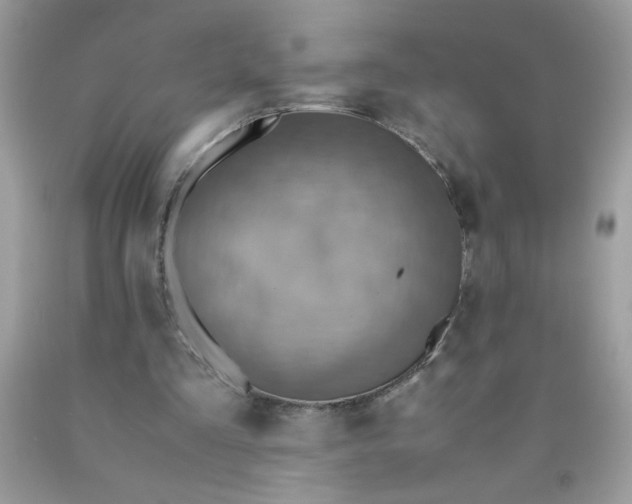 X0000090490293200707272346