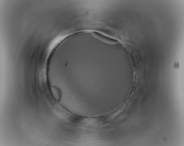 X0000090490294200707272346