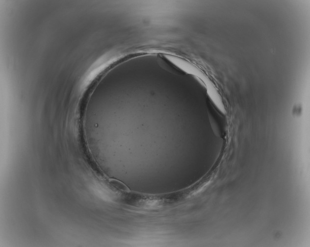 X0000090490295200707272346