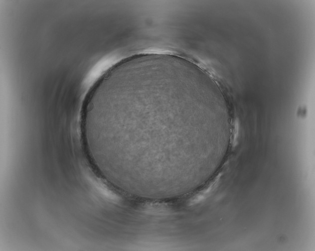 X0000090490296200707272346