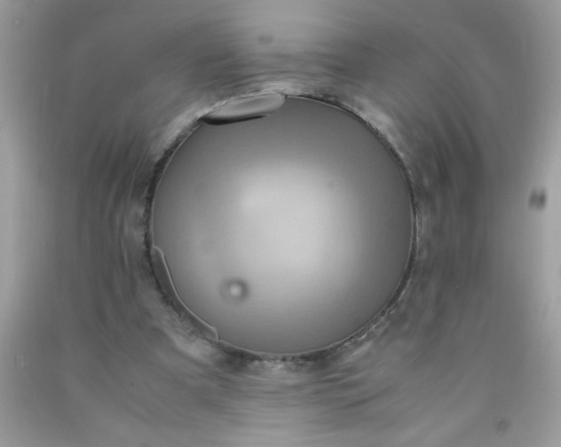 X0000090490297200707272346