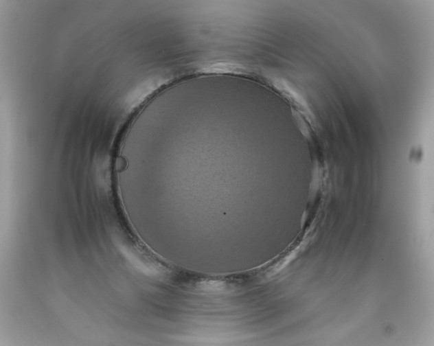 X0000090490298200707272346