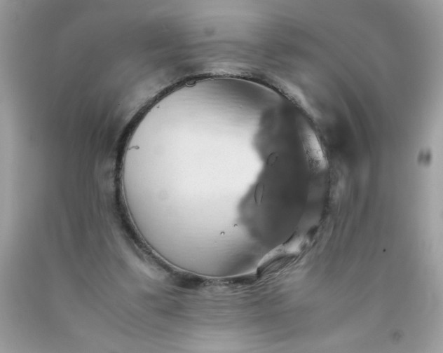 X0000090490299200707272346